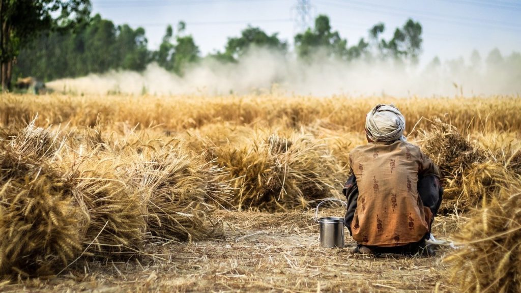 Covid-19 Lockdown: Tobacco Farmer Commits Suicide Due to Farm Crisis