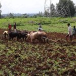 PM’s Finance Initiative under Rs 1 lakh crore Agriculture Infrastructure Fund Catalytic for Agri-infra Development: FAIFA