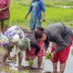 FAIFA Appeals to Hon’ble PM to withdraw COTPA Amendment Bill as it will impair the livelihoods of Indian Tobacco Farmers